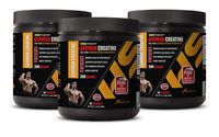 Muscle Mass Building Pills - German CREATINE Powder - 100% Pure MICRONIZED CREATINE MONOHYDRATE - Creatine monohydrate pre Workout - 3 Cans 900 Grams (180 Servings)
