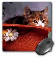 3dRose LLC 8 x 8 x 0.25 Inches Mouse Pad, Love You Cat in The Hat (mp_786_1)