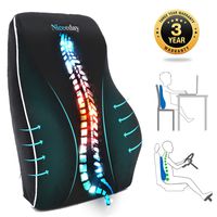 Lumbar Support Pillow for Office Chair Car Lumbar Pillow, Memory Foam Back Cushion with Breathable 3D Mesh Lumbar Support Orthopedic Backrest for Lower Back Pain Relief Back Pillow for Car Seat Reclin