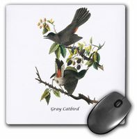 3D Rose"Gray Catbird by John James Audubon" Matte Finish Mouse Pad - 8 x 8" - mp_114036_1
