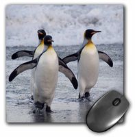 3dRose LLC 8 x 8 x 0.25 Inches Mouse Pad, Cindy Miller Hopkins (mp_74383_1)