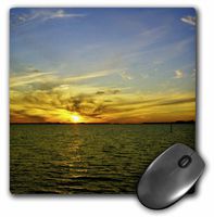 3dRose LLC 8 x 8 x 0.25 Inches Sun Splashes Green Mouse Pad (mp_7511_1)
