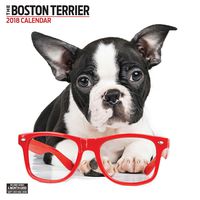 Boston Terrier 2018 Contemporary Wall Calendar
