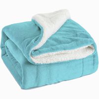 BEDSURE Sherpa Fleece Blanket Twin Size Lt Blue Plush Throw Blanket Fuzzy Soft Blanket Microfiber