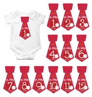 Gift Set of 12 Tie Keepsake Photography Monthly Baby Stickers with Saint Louis Cardinals Baseball T124