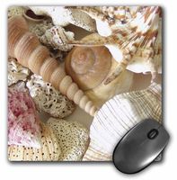3dRose LLC 8 x 8 x 0.25 Inches Mouse Pad, Florida Keys Seashells (mp_40855_1)