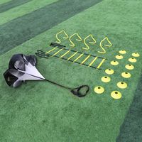 A11N Speed & Agility Training Set- Includes 1 Resistance Parachute, 1 Agility Ladder, 4 Steel Stakes, 4 Adjustable Hurdles, 12 Disc Cones, and a Drawstring Bag | Training Equipment for All Sports