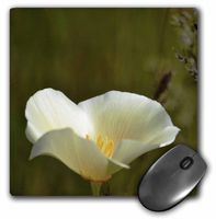 3dRose LLC 8 x 8 x 0.25 Inches Mouse Pad, Earthy Poppy Flower - White Floral Photography (mp_52843_1)