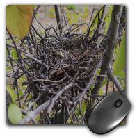 3dRose LLC 8 x 8 x 0.25 Inches Mouse Pad, Empty Bird Nest (mp_36698_1)