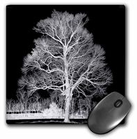 3dRose LLC 8 x 8 x 0.25 Inches Mouse Pad, Black and White Winter Silhouette of A Lone Tree (mp_154759_1)