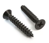 #6 x 3/4" Xylan Coated Stainless Flat Head Phillips Wood Screw (100 pc) 18-8 S/S Black Xylan Coating Choose Size by Bolt Dropper