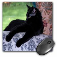 3dRose LLC 8 X 8 X 0.25 Inches Black Kitten on The Back of The Couch Mouse Pad (mp_22416_1)