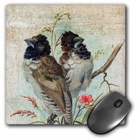 3dRose LLC 8 x 8 x 0.25 Inches Mouse Pad, Vintage Birds with Texture Added by Angle and Spot (mp_10877_1)