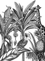 Alibabette Editions Engravings to Colour Jungle 15.75 by 11.8" 300g Watercolor Paper + 100g Drawing Paper (COL4012)