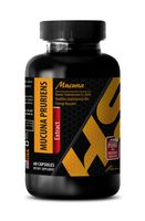 Brain and Memory Power Boost - MUCUNA PRURIENS Extract - Velvet Bean Extract Pills - 1 Bottle 60 Capsules