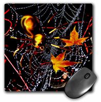 3dRose LLC 8 x 8 x 0.25 Inches Halloween Spider and Crystal Web Mouse Pad (mp_4477_1)