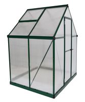 Palram HG5005G Mythos Hobby Greenhouse, 6' x 4' x 7', Forest Green