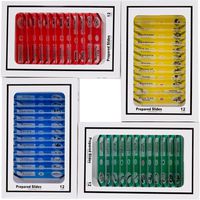 AMSCOPE-Kids 48pcs Kids Plastic Prepared Microscope Slides of Animals Insects Plants Flowers Sample Specimens for Stereo Microscopes