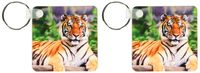 3dRose Siberian Tiger - Key Chains, 2.25 x 4.5 inches, set of 2 (kc_3132_1)