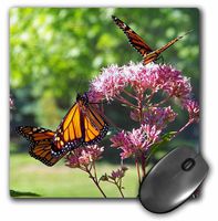 3dRose LLC 8 x 8 x 0.25 Inches Mouse Pad, 3 Monarch Butterflies on Flowers (mp_80328_1)