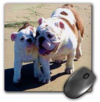 3dRose LLC 8 x 8 x 0.25 Inches Mouse Pad, You Belong with Me (mp_13738_1)