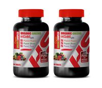 Cholesterol antioxidant Supplement - Organic Greens Complex with Veggies, Greens, Fruits - Ginger Extract Bulk Supplements - 2 Bottles 120 Tablets