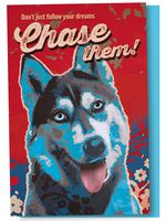 Tree-Free Greetings EcoNotes 12-Count Notecard Set With Envelopes, 4 x 6 Inches, Chase Them Themed Pet Lover Cute Dog Art (56164)