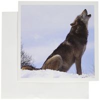 3dRose The Wolf Howling - Greeting Cards, 6 x 6 inches, set of 6 (gc_62431_1)