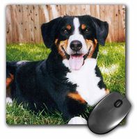 3dRose LLC 8 x 8 x 0.25 Inches Mouse Pad, Appenzeller Mountain Dog (mp_240_1)