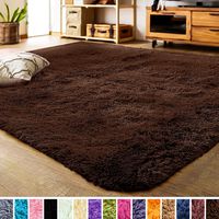 LOCHAS Luxury Velvet Fluffy Rug Modern Shag Area Rugs for Bedroom, Super Soft and Comfy Carpet, Non Slip Floor Fur Carpets for Kids Home Decor, 2x3 Feet Coffee