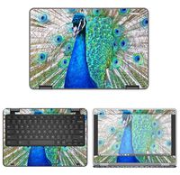 decalrus - Protective Decal Peacock Skin Sticker for Dell ChromeBook 11 3189, 3181 (11.6" Screen) case Cover wrap DEchrmbk11_3189-161