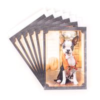 Hallmark Halloween Cards, Dog in Vampire Costume (6 Cards with Envelopes)