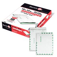 Survivor R1590 Tyvek USPS First Class Mailer, 10 x 13, White (Box of 100)