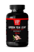 Weight Loss Fat Burner Pills - Green Tea Leaf Extract - Green Tea Weight Loss - 1 Bottle 60 Capsules
