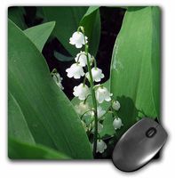 3dRose LLC 8 x 8 x 0.25 Inches Mouse Pad, Lily of The Valley (mp_158130_1)