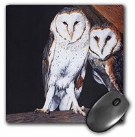 3dRose LLC 8 x 8 x 0.25 Inches Mouse Pad, Barn Owls (mp_3210_1)