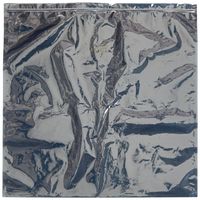 Bauxko 24" x 24" Reclosable Static Shielding Bags, 25-Pack (xSTC376-25)