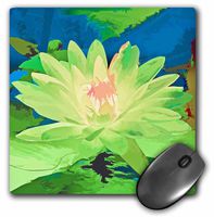 3dRose LLC 8 X 8 X 0.25 Inches Mouse Pad, Decorative Colorful Garden Botanic Plant Water Lily Green Gold Flower Abstract Pastel (mp_32403_1)