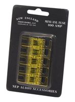 NEP Mini-ANL Fuse 5-Pack (100 Amp)