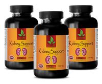 Immune Support Capsules - Kidney Support Complex 700 mg - Dietary Supplement - Cranberry Extract - 3 Bottles (180 Capsules)