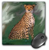3dRose LLC 8 x 8 x 0.25 Inches Mouse Pad, Cheetah (mp_4106_1)