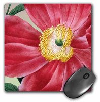 3dRose LLC 8 x 8 x 0.25 Vintage Red Peony Flower Floral Art Mouse Pad (mp_79189_1)