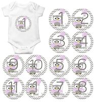 Gift Set of 12 Round Keepsake Photography Monthly Baby Stickers with Purple Owl and Balloon MOSG103