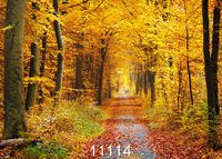 WOLADA 7x5ft Autumn Forest Photo Backdrop Yellow Fallen Leaves Photography backdrops Party Weeding Decor Vinyl Video Photography Background for Studio Prop 11114