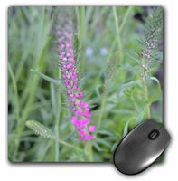 3dRose LLC 8 X 8 X 0.25 Inches Natures Beauty Mouse Pad (mp_22665_1)