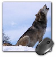 3dRose LLC 8 x 8 x 0.25 Inches Mouse Pad, The Wolf Howling (mp_62431_1)
