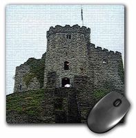 3dRose LLC 8 x 8 x 0.25 Inches Mouse Pad, Carlow Castle in Ireland (mp_44096_1)