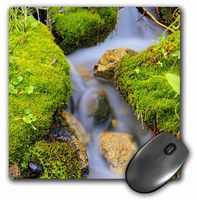 3dRose LLC 8 x 8 x 0.25 Inches Mouse Pad, Spring Fed Mountain Stream (mp_36358_1)