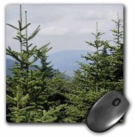 3dRose LLC 8 x 8 x 0.25 Inches Mountain Pines Mouse Pad (mp_7777_1)