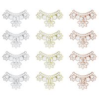 Pearhead Baby's Monthly Milestone Necklace Photo Sharing Prop Stickers